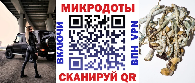 магазин  наркотиков  Гай  Галлюциногенные грибы MAGIC MUSHROOMS 